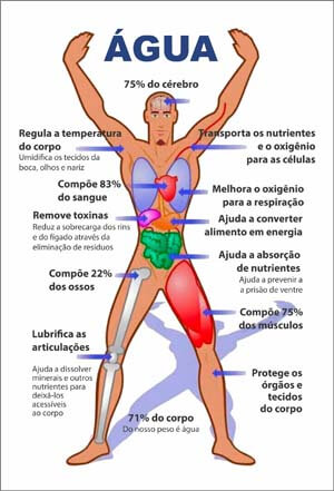 agua+limpa+saude